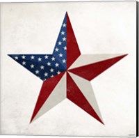 Star Flag Fine Art Print