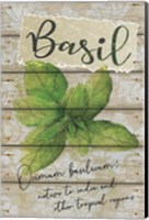 Basil Fine Art Print