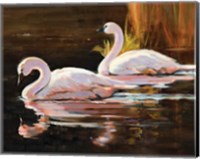 Swans Fine Art Print