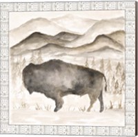 Bison w/ Border Fine Art Print