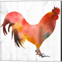 Rooster I Fine Art Print