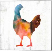 Hen IV Fine Art Print