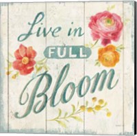 Full Bloom X Floral Fine Art Print