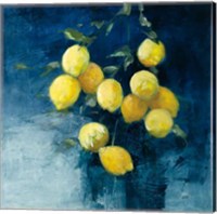 Lemon Grove II Fine Art Print