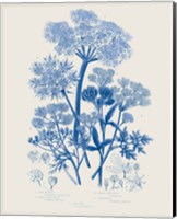 Flowering Plants VI Mid Blue Fine Art Print