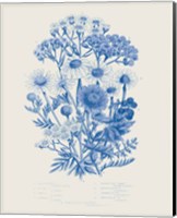 Flowering Plants V Mid Blue Fine Art Print