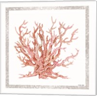 Pink Coastal Coral II Fine Art Print