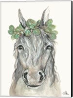 Eucalyptus Horse Fine Art Print