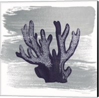 Brushed Midnight Blue Elkhorn Coral Fine Art Print
