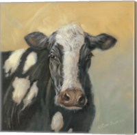 Pretty Cow Fine Art Print