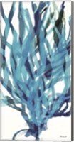 Soft Seagrass in Blue 2 Fine Art Print