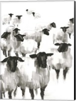 Counting Sheep II Fine Art Print