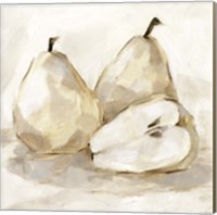 White Pear Study I Fine Art Print