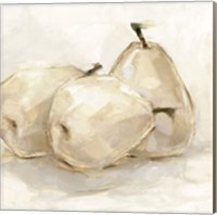 White Pear Study II Fine Art Print