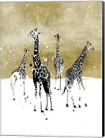 Spotted Giraffe I Fine Art Print