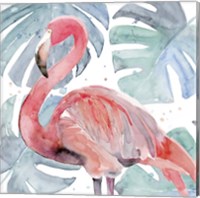 Flamingo Splash II Fine Art Print