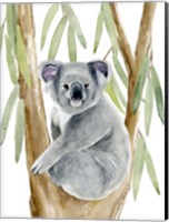 Woodland Koala II Fine Art Print