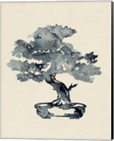 Indigo Bonsai III Fine Art Print