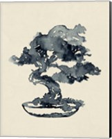 Indigo Bonsai IV Fine Art Print