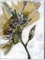 Flower Alloy II Fine Art Print