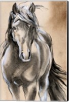 Sketched Horse II Fine Art Print