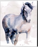Horse in Watercolor I Fine Art Print