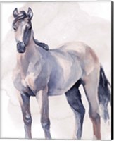 Horse in Watercolor II Fine Art Print