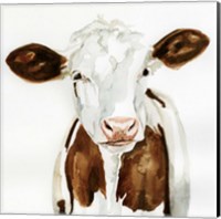 Cow Gaze I Fine Art Print