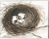 Nesting Eggs III Fine Art Print