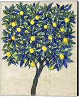 Lemon Tree Composition II Fine Art Print