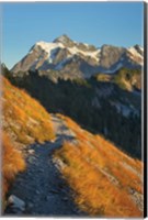 Mount Shuksan North Cascades Fine Art Print