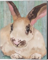 Bunny IV Fine Art Print