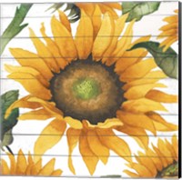 Happy Sunflower I Fine Art Print