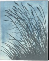 Tall Grasses on Blue I Fine Art Print