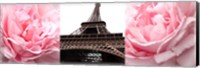 Pink Roses Eiffel Tower Fine Art Print