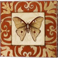 Moroccan Butterfly II Fine Art Print