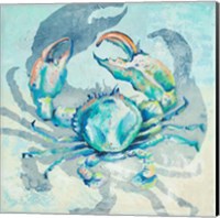 Surf Side Crab Fine Art Print