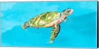 Green Turtle on Light Blue Fine Art Print