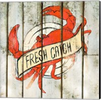 Fresh Catch Square Fine Art Print