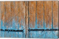 Painted Wooden Door Fine Art Print