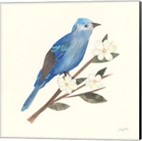 Birds and Blossoms III Fine Art Print