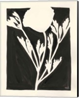 Joyful Spring II Black Fine Art Print