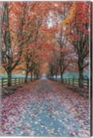 Autumn Country Lane Fine Art Print