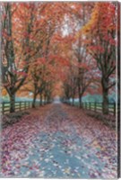 Autumn Country Lane Fine Art Print