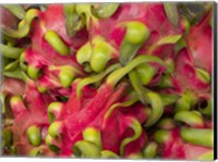 Dragon fruit Fine Art Print