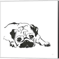 Line Dog Pug II Fine Art Print