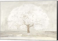 Pale Tree Fine Art Print