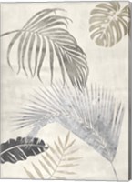 Palm Leaves Silver II Fine Art Print