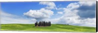 Cypresses, Val d'Orcia, Tuscany Fine Art Print