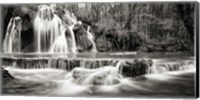 Waterfall in a forest (BW) Fine Art Print
